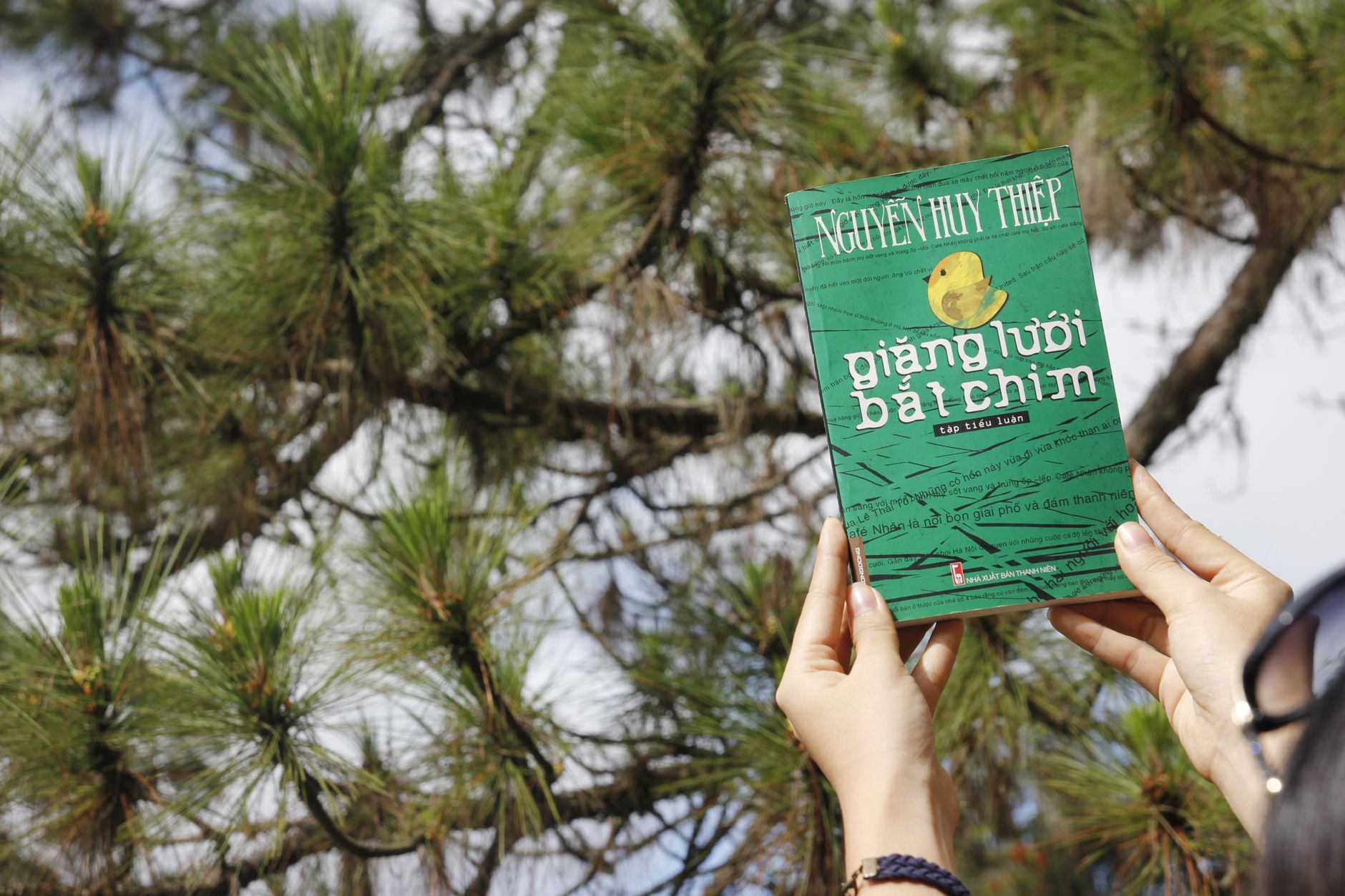 Hands holding a book against pine tree background, suggesting relaxation and nature reading.