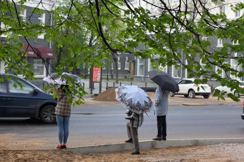 Free People Holding Umbrellas While Standing on the Road Side Stock Photo