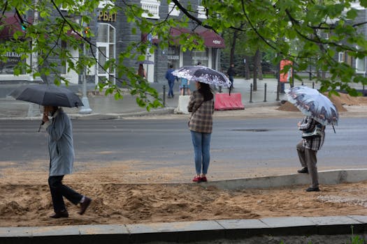 Rainy city scene with people holding umbrellas on a street lined with trees and buildings.