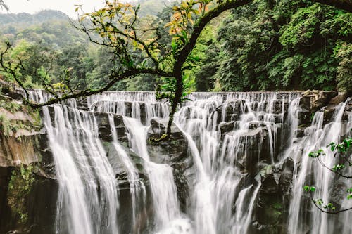 Kostenlos Cluster Wasserfälle Mit Bäumen Umgeben Stock-Foto