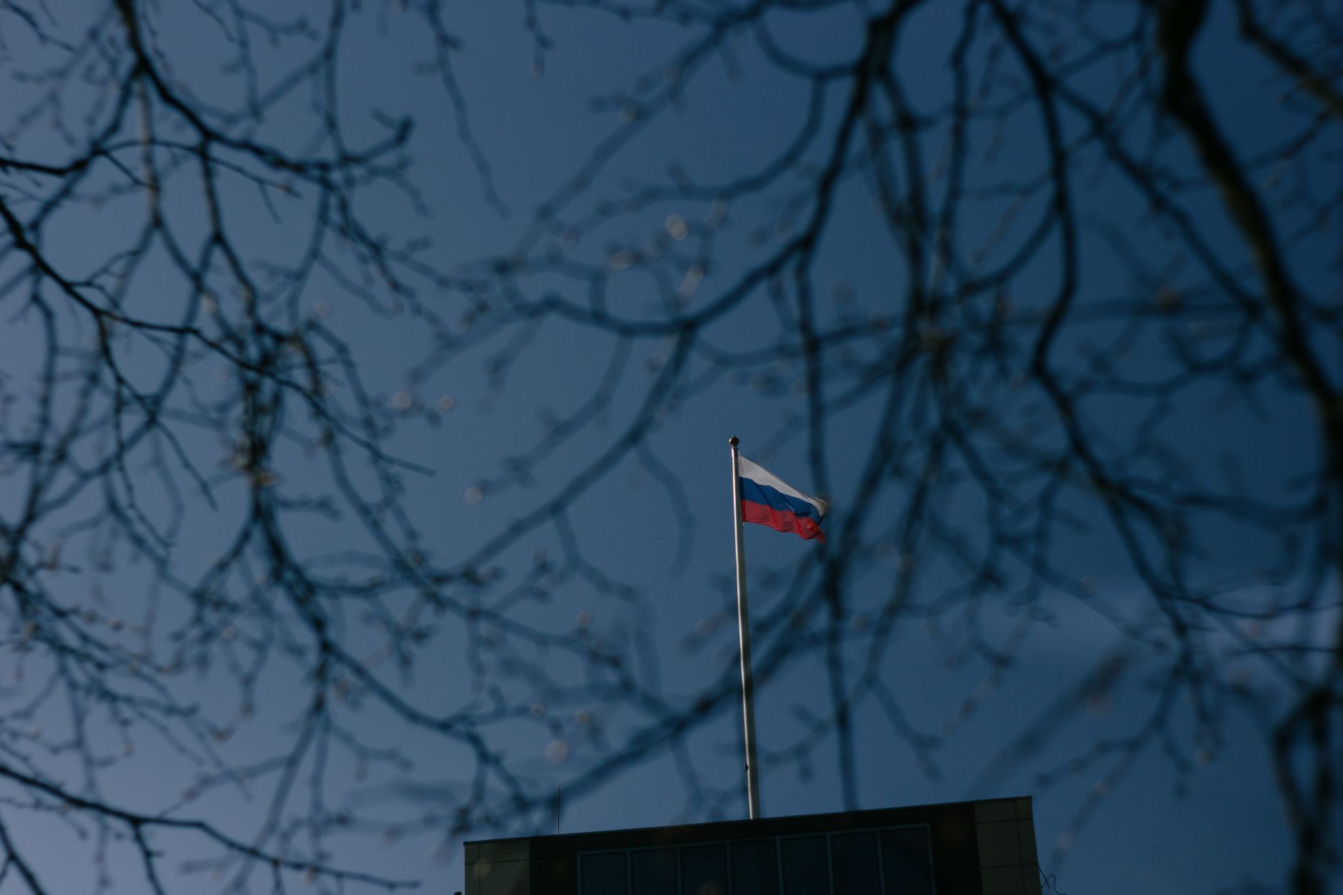 Russian flag on a flagpole silhouetted against a clear blue sky with tree branches framing the scene.
