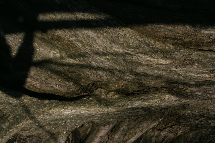 Texture Of Rocks In A Cave