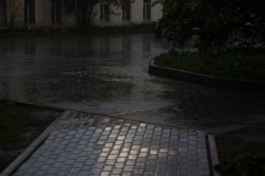 Quiet urban scene with wet pavement reflecting evening rain.