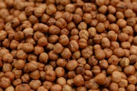 Close-Up Photograph of Chickpeas