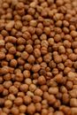 Brown Coffee Beans in Close Up Photography