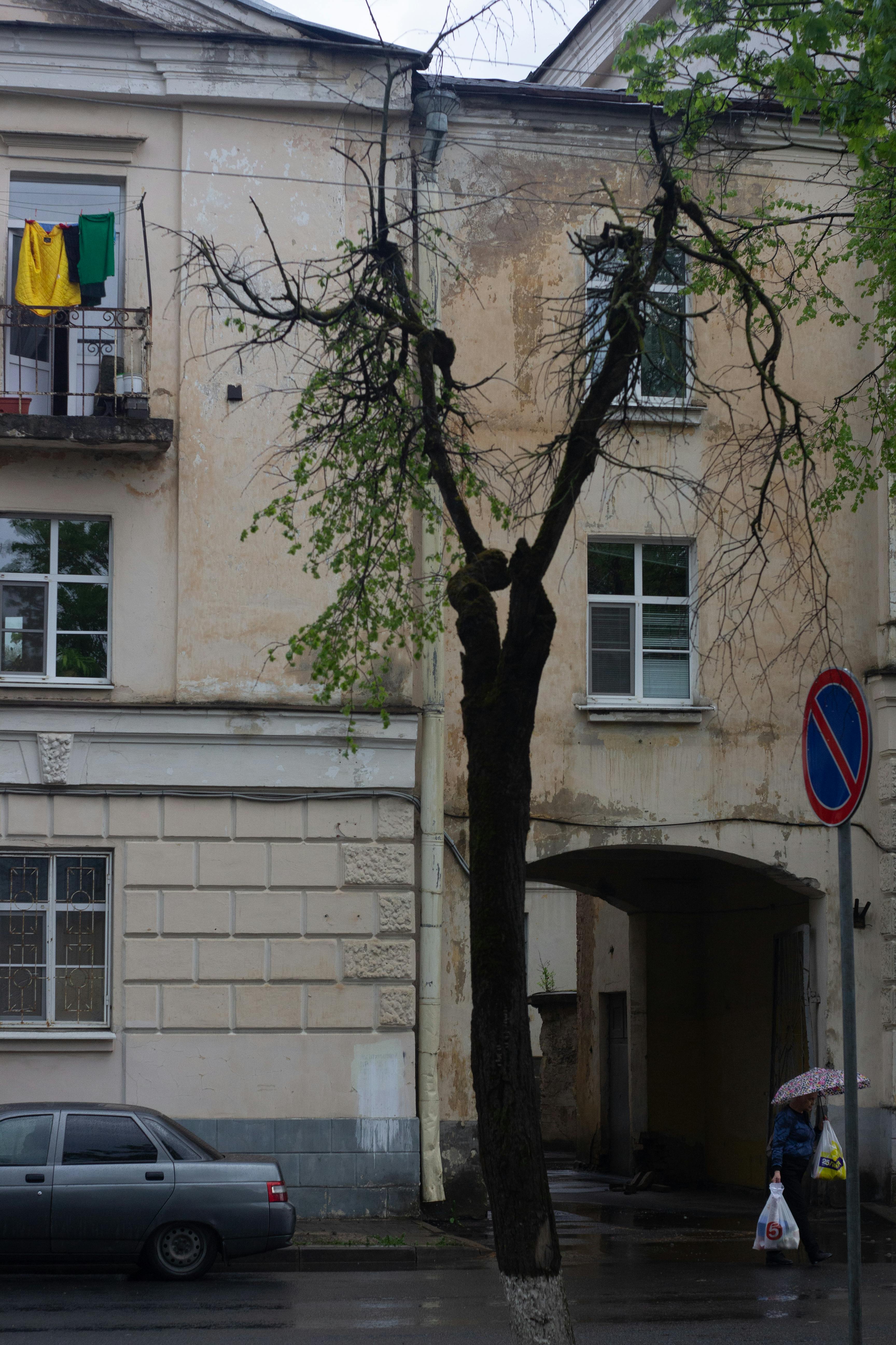 Bitcoin coin placed on a stock market chart representing institutional adoption