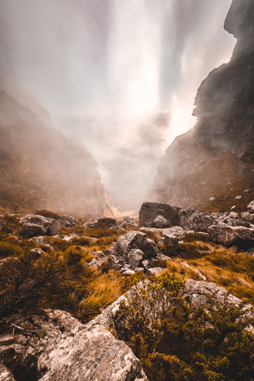 Foto d'estoc gratuïta de a l'aire lliure, amb boira, boira