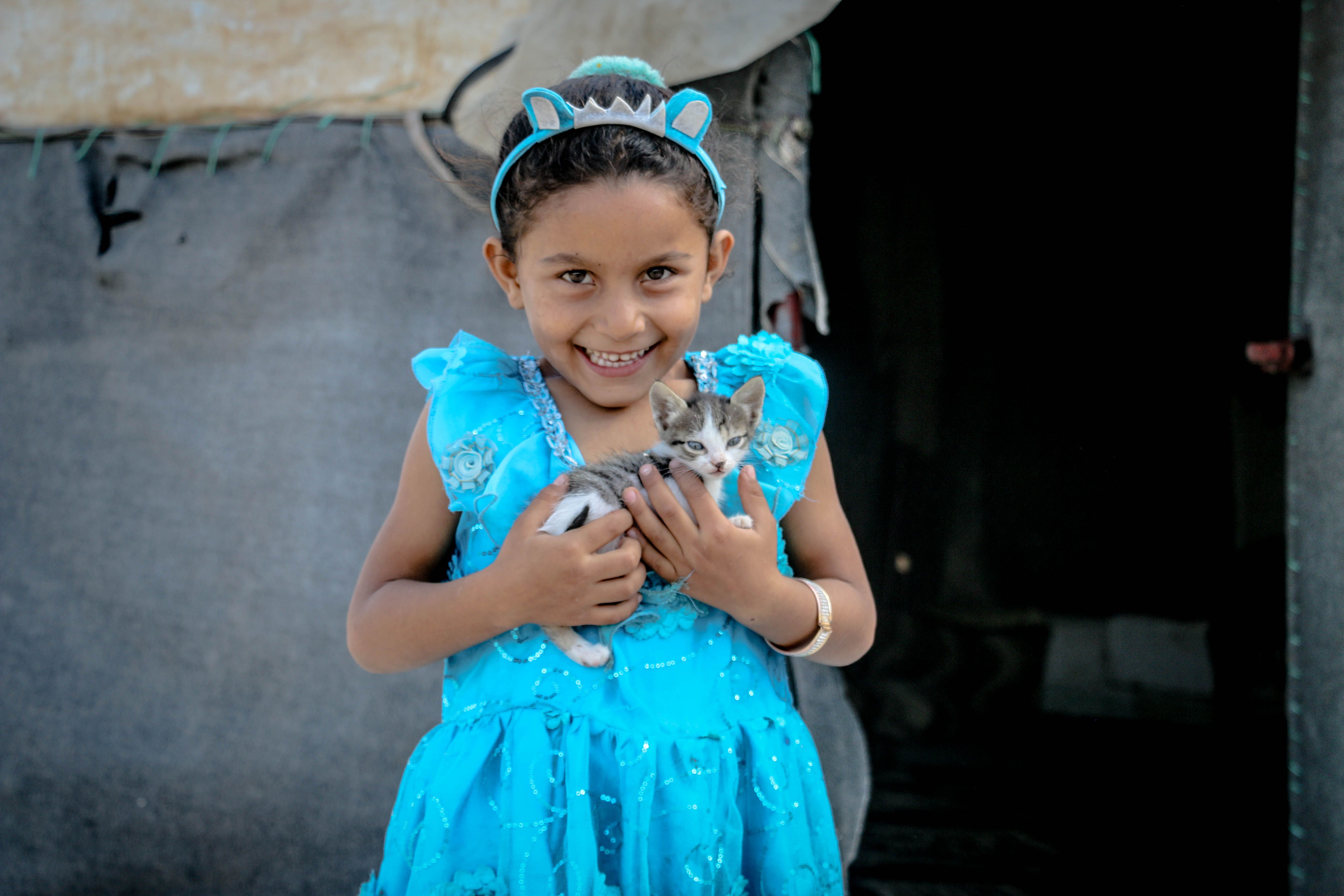 Girl in Blue Dress Holding a Kitten · Free Stock Photo