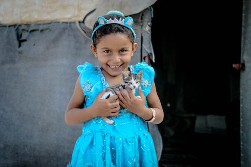 Free A cheerful young girl in a blue dress joyfully holds a kitten, capturing a moment of innocence and happiness. Stock Photo
