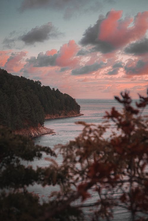 Foto profissional grátis de água, alvorecer, árvores