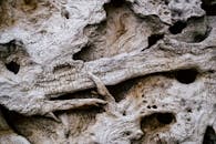 风化的木材纹理呈现出复杂的自然图案，细节清晰可见