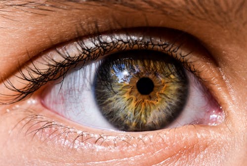 A Person's Eye in Close-Up Photography