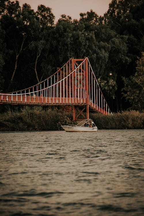 Kostnadsfria Kostnadsfri bild av båt, bro, flod Stock foto