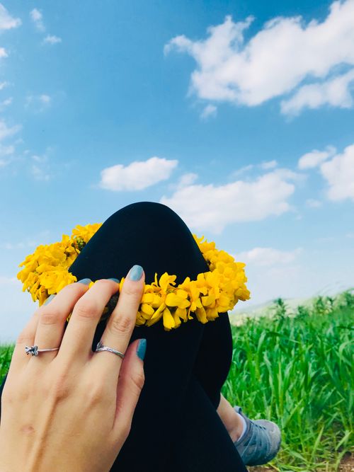 Free stock photo of beautiful flower, blue nail, female hands Stock Photo
