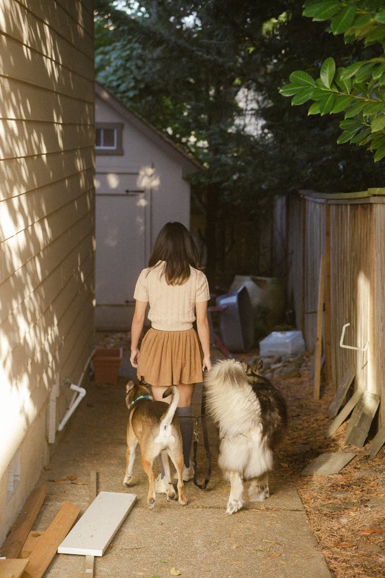 Back View Of A Woman Walking Her Dogs