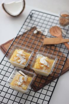 Mango Coconut Water Bars