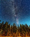 Green Trees Under Blue Sky during Night Time