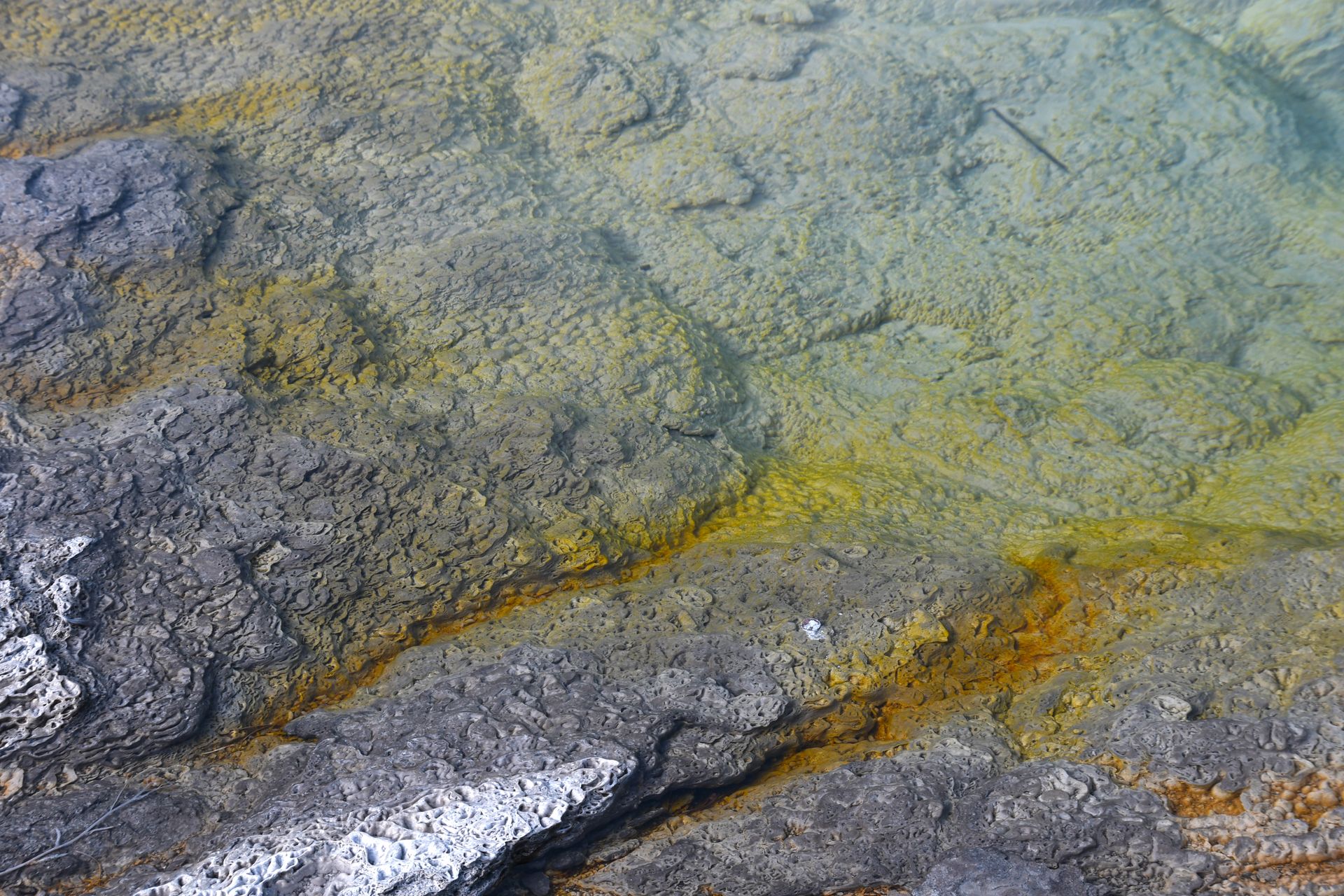 Close-up of geothermal hot spring rock textures at Yellowstone National Park.