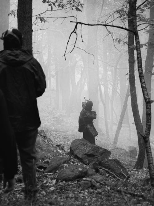Free Grayscale Photo of 2 Person Standing on Rock Near Bare Trees Stock Photo