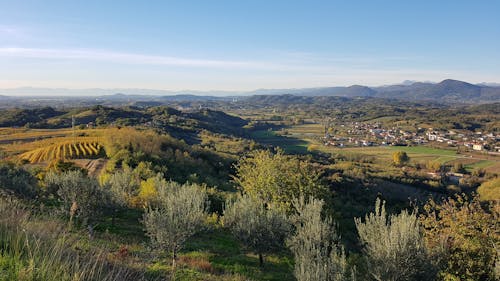 Foto d'estoc gratuïta de a l'aire lliure, camp, muntanya