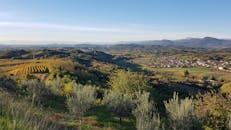 在这片风景如画的乡村，你可以探索连绵起伏的山丘，感受葡萄园的宁静之美