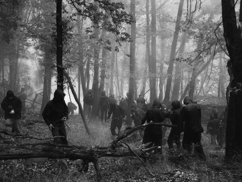 Free Black and white photo of hooded figures moving through a misty Chiomonte forest. Stock Photo