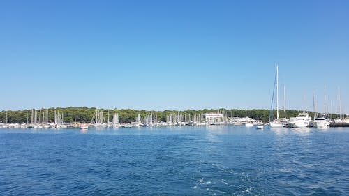 Fotos de stock gratuitas de cerca del mar, puerto deportivo, veleros