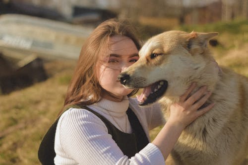 Fotos de stock gratuitas de adorable, afecto, amante de los perros