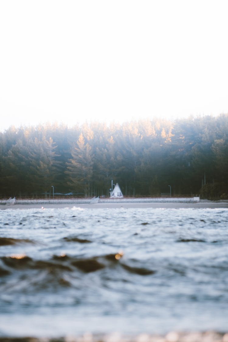 Lake Surface And Forest In Background