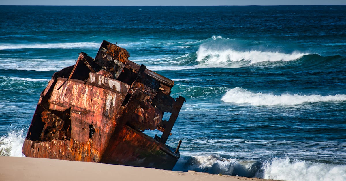 The Static Bloom 1 image text