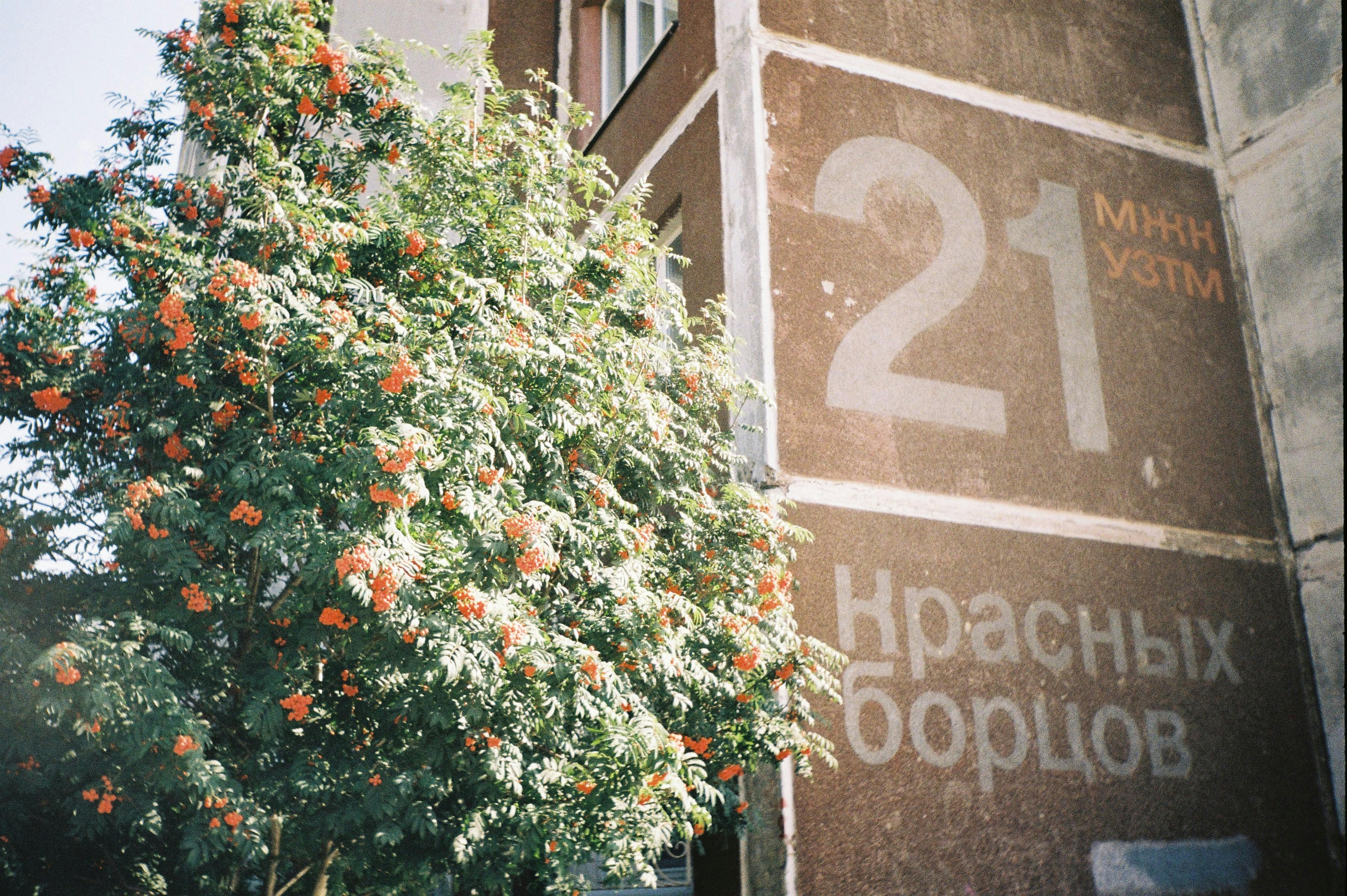 number 2 скачать