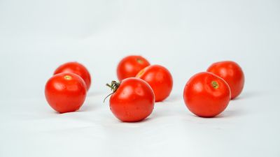 Ripe red tomatoes on a white backdrop — photo by Gurpreet Singh on Pexels
