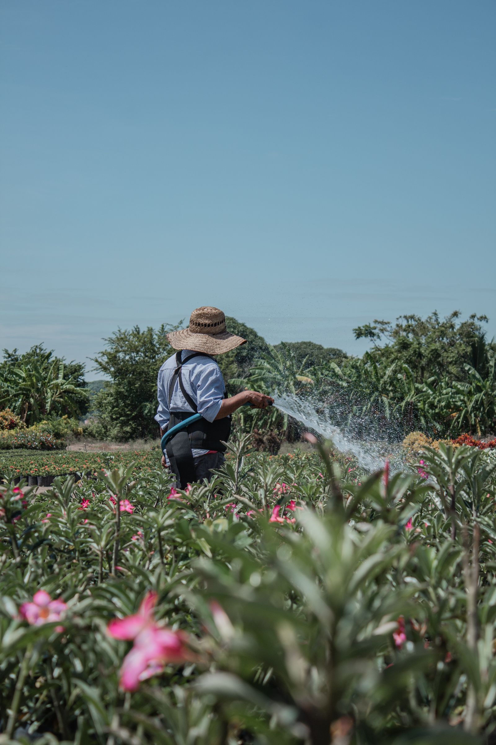Landscaper in Chatswood — Quality Garden Supplies