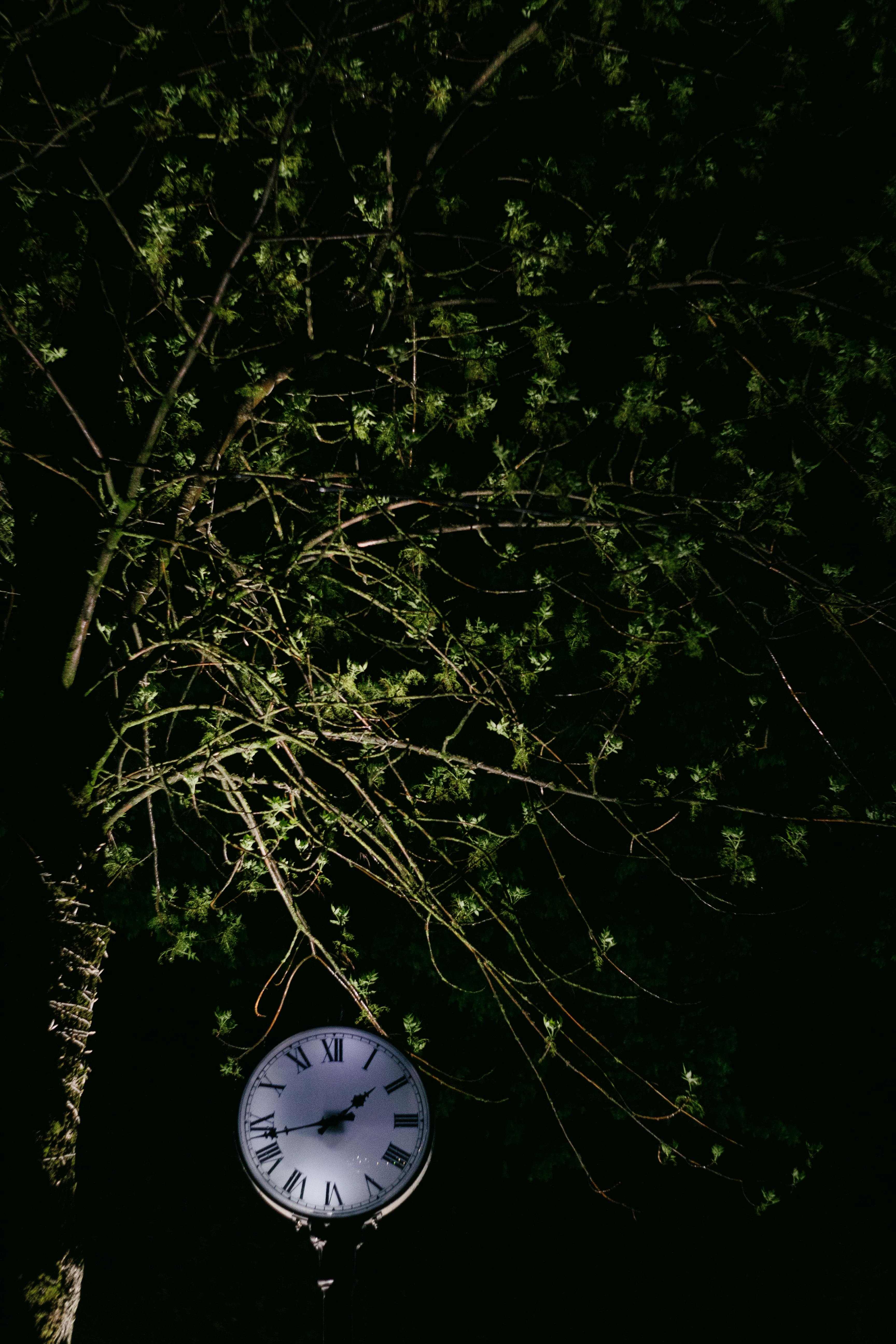Clock Under the Tree at Night · Free Stock Photo