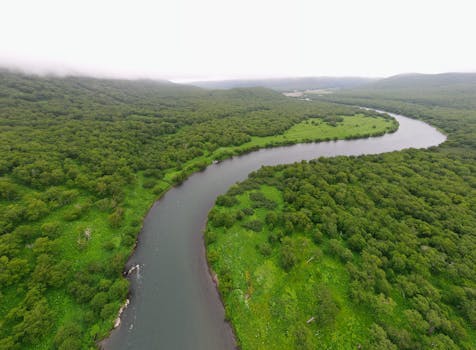 Captivating aerial view of a winding river amidst lush greenery in Kamchatka Krai, Russia.