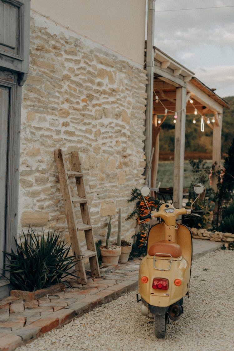 Vintage Scooter Standing