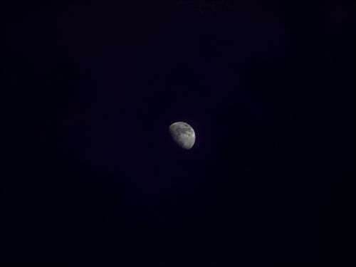 Free Beautiful half moon captured against a dark night sky with ample copy space. Stock Photo