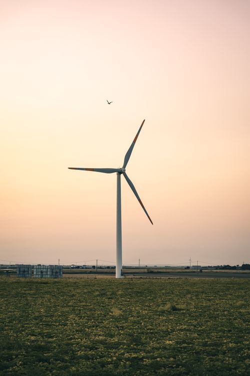 Free Wind turbine standing tall on a grass field at sunset, symbolizing renewable energy. Stock Photo