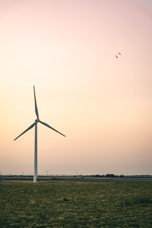 Photo of a Windmill Near Birds