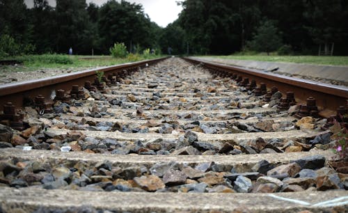 Brown Train Tracks