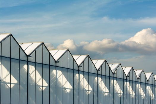 A row of modern greenhouses with triangular roofs under a blue sky and scattered clouds.