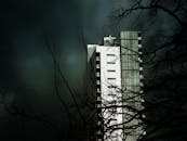 一座高大的建筑物在暴风雨的天空下，与剪影般的树枝形成前景