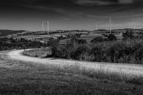 Gratis stockfoto met landschap