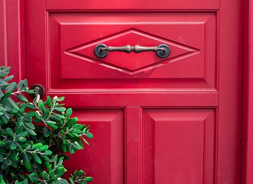 фотография Red Door