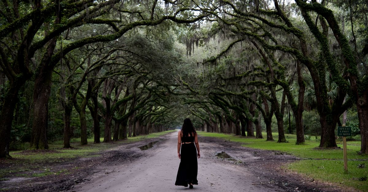 woman walking in nature forest path slow living