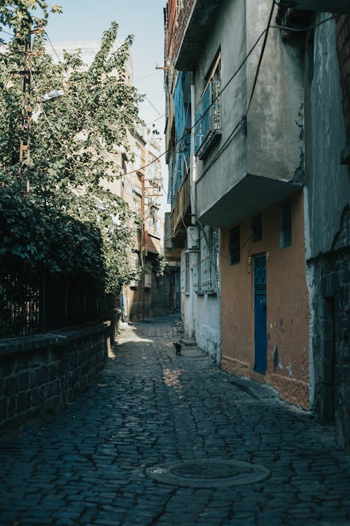 An Alleyway Between Houses