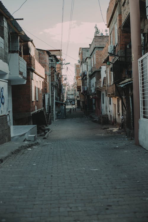 Empty Street between Houses