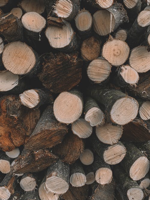 免费 升火的木柴, 原本, 垂直拍摄 的 免费素材图片 素材图片
