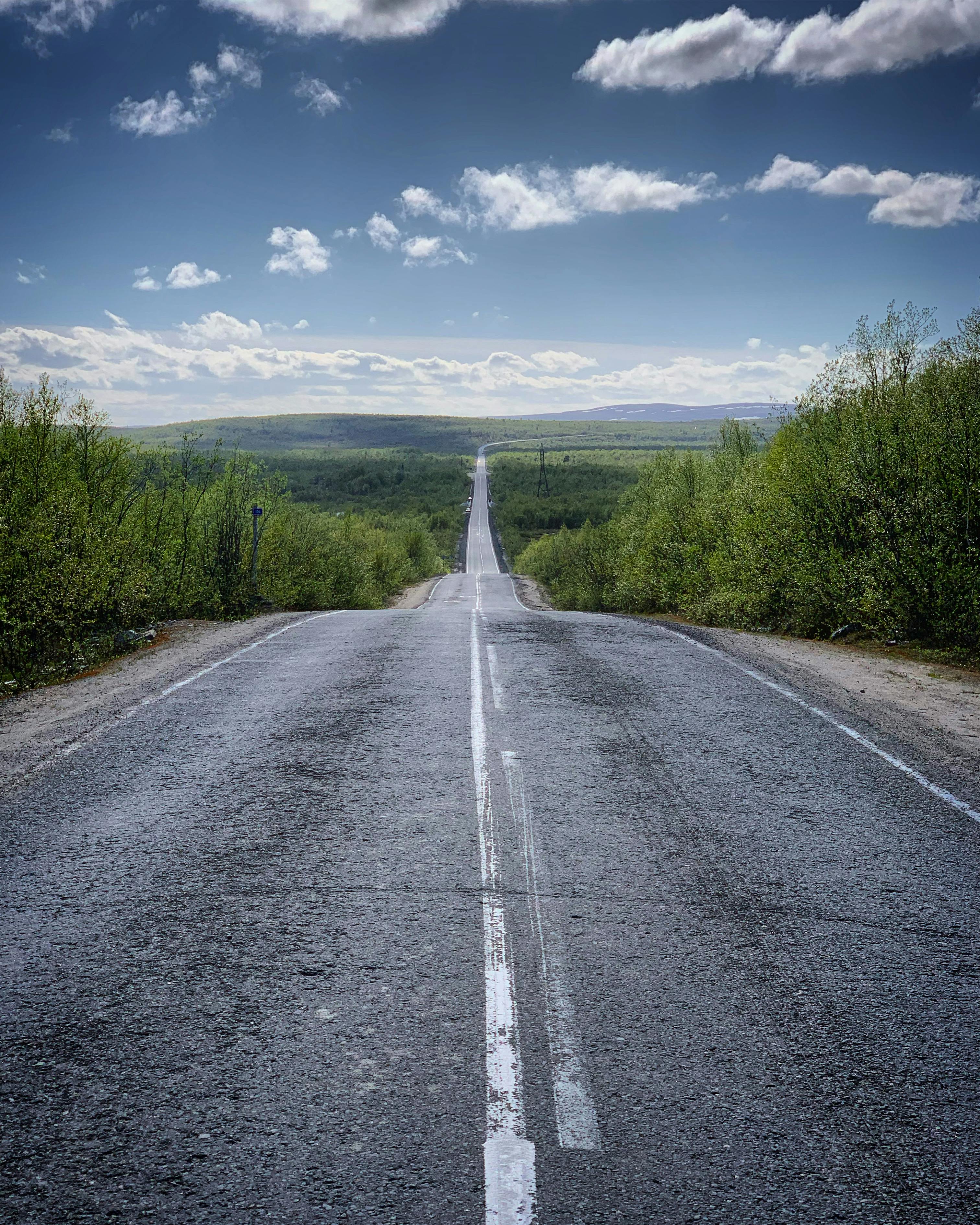 a long undulate asphalt road between green plants