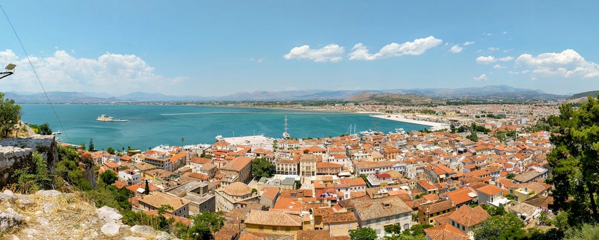 Swimming pig in turquoise water